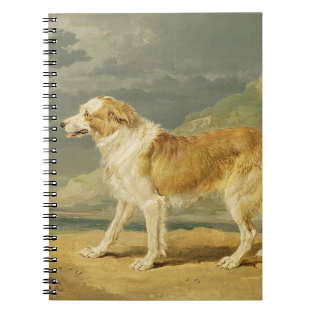 Buse-jackad Collie, 1809 (olja ombord) Anteckningsbok Med Spiral (Framsidan)