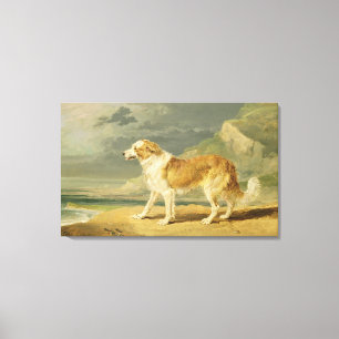Buse-jackad Collie, 1809 (olja ombord) Canvastryck