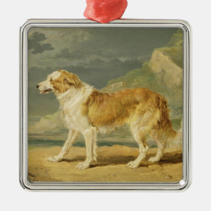 Buse-jackad Collie, 1809 (olja ombord) Julgransprydnad Metall