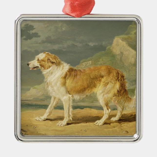 Buse-jackad Collie, 1809 (olja ombord) Julgransprydnad Metall (Framsidan)