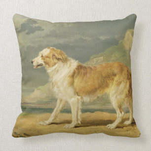 Buse-jackad Collie, 1809 (olja ombord) Kudde