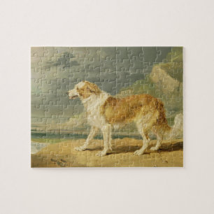 Buse-jackad Collie, 1809 (olja ombord) Pussel