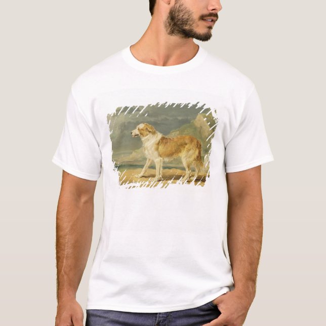 Buse-jackad Collie, 1809 (olja ombord) T Shirt (Framsida)