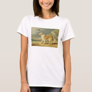 Buse-jackad Collie, 1809 (olja ombord) Tee