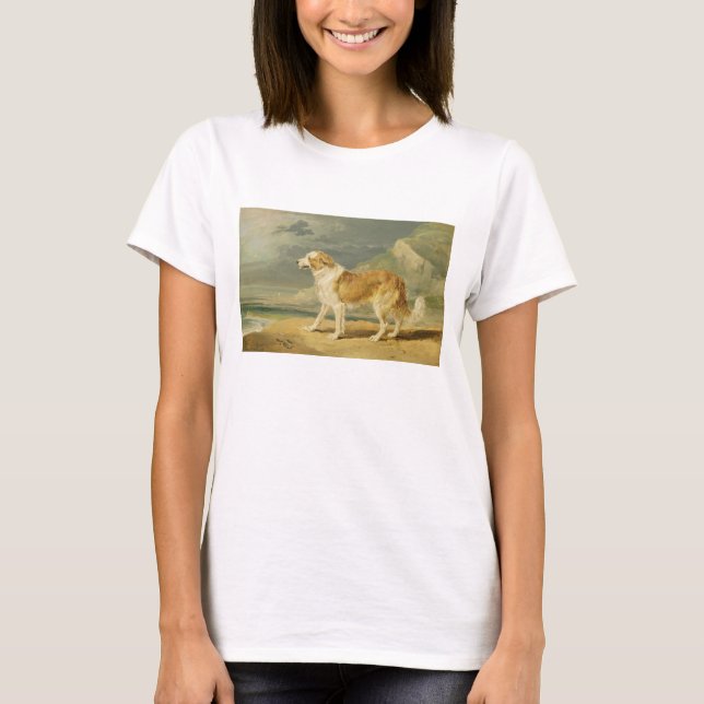 Buse-jackad Collie, 1809 (olja ombord) Tee (Framsida)