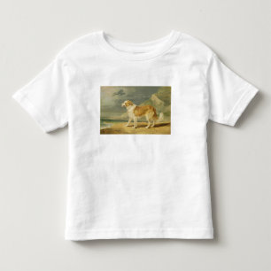 Buse-jackad Collie, 1809 (olja ombord) Tee Shirt