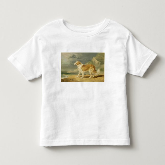 Buse-jackad Collie, 1809 (olja ombord) Tee Shirt (Framsida)