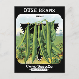 Bush Beans Seed Pack Vegetable Garden Black NY Vykort
