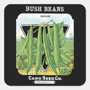 Bush Beans Seed Packet Label Fyrkantigt Klistermärke