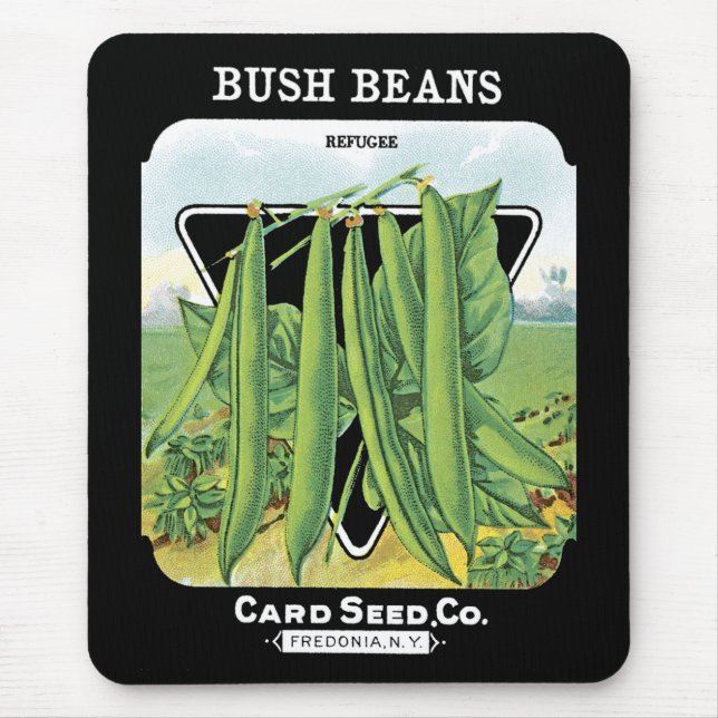 Bush Beans Seed Packet Label Musmatta (Framsidan)