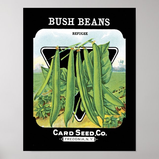 Bush Beans Seed Packet Label Poster (Framsidan)
