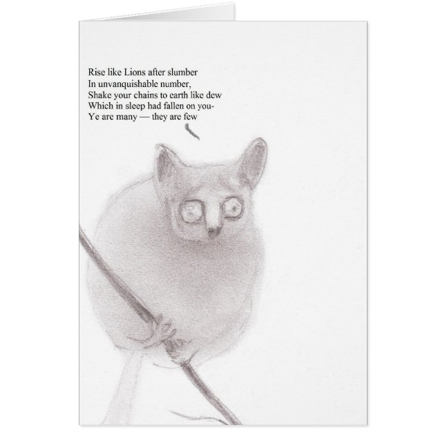 Bush bebisanarkist OBS kort (Framsidan)