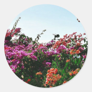 Bush med purpurfärgade röda och orangeblommor runt klistermärke