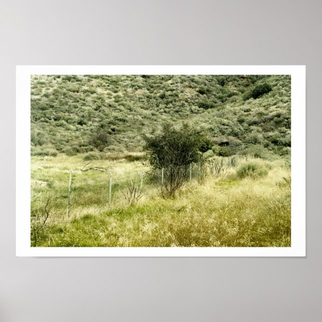 Bush och Fence Poster (Framsidan)