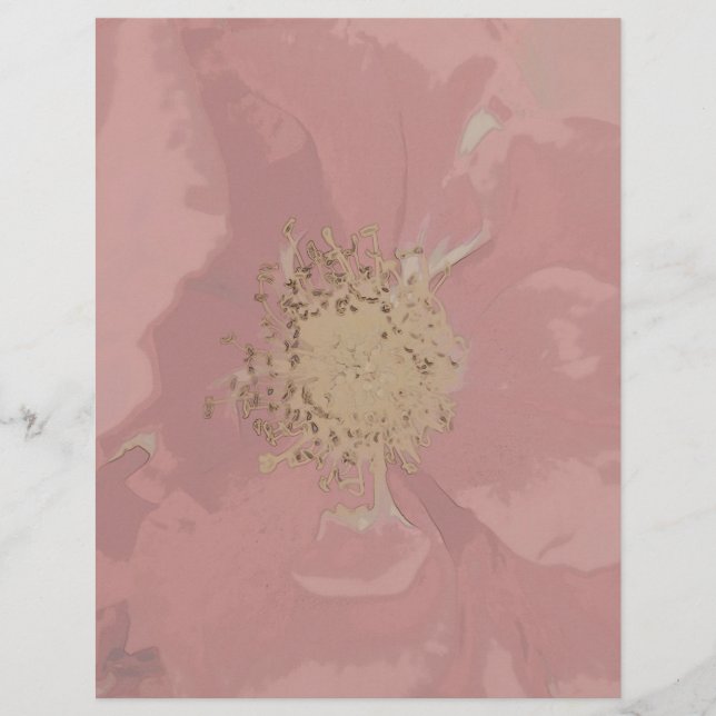 Bush Ro DullPastel (Framsida)