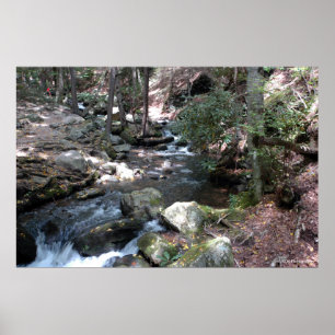 Bushfärd River i Poconos. print 0086 Poster