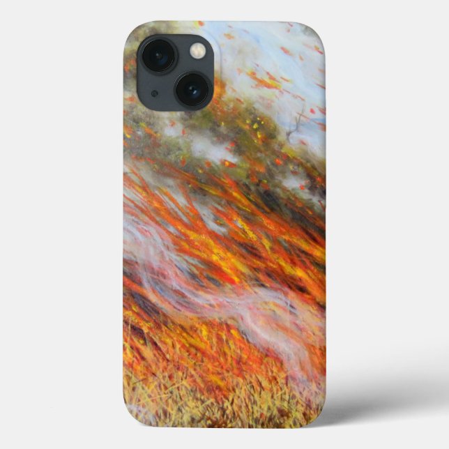 Bushfire Inferno 2014 (Baksida)