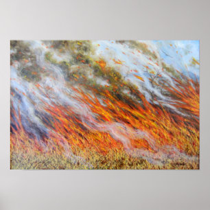 BushfireInferno 2014 Poster