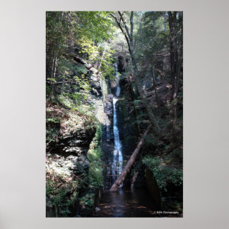 Bushkill Falls in the Poconos. print 0206 Poster
