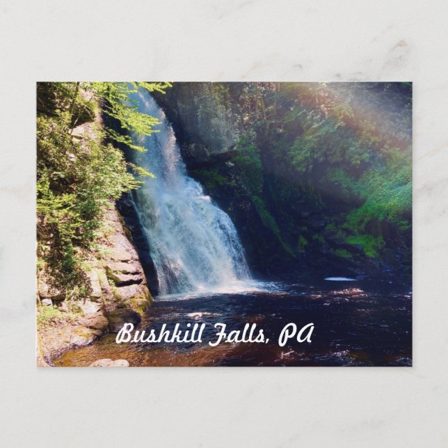 Bushkill Falls, PA-vykort Vykort (Framsida)