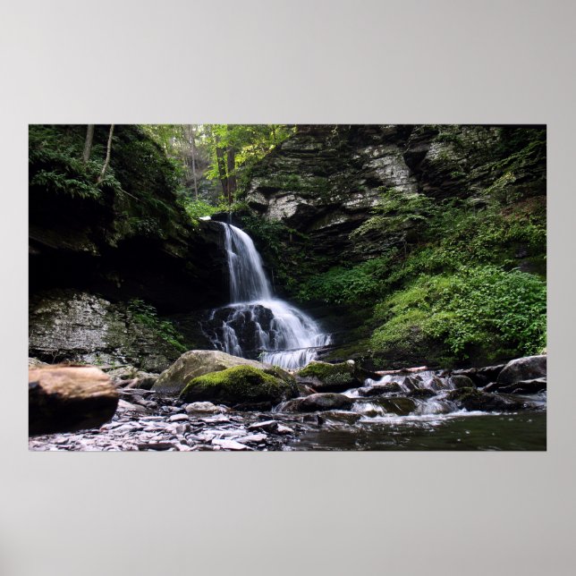 Bushkill Falls Poster (Framsidan)