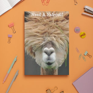 Bushy Hair Brown Llama Hair Stylist Vykort