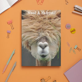 Bushy Hair Brown Llama Hair Stylist Vykort