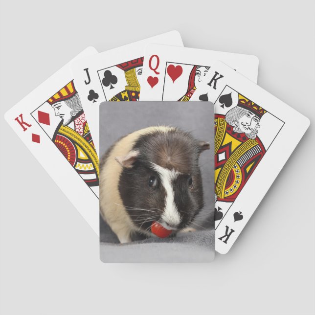 Busig försökskanin som leker kort casinokort (Baksidan)