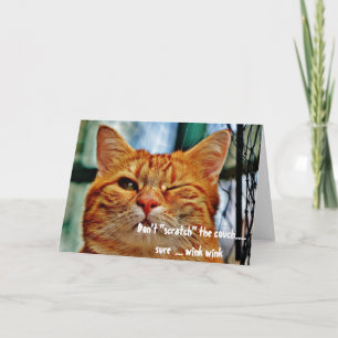 Busig katt Roligt Humor Blinkande Hälsning Kort