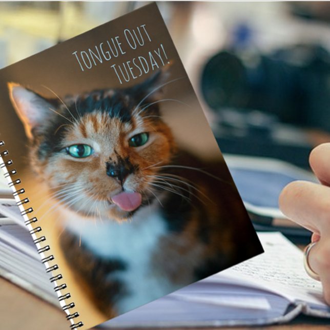 Busig randig katt med tungan ute anteckningsbok (Skapare uppladdad)