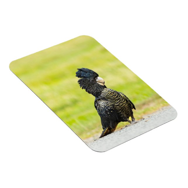 Busig svart kakadu-porträtt magnet (Högersidan)