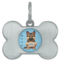 Busig tysk schäferhund