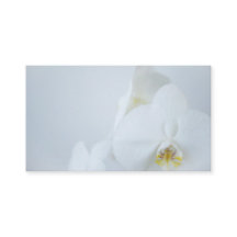 Business Card White Orchids