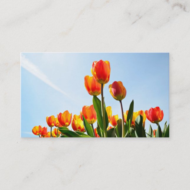 Business card with tulips visitkort (Framsida)