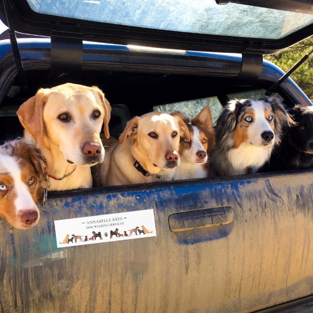 Business Dog Walker Pet Sitter Advertising Bildekal (Skapare uppladdad)