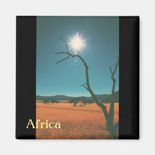 Buske Savann Landskap Afrika Träd Magnet