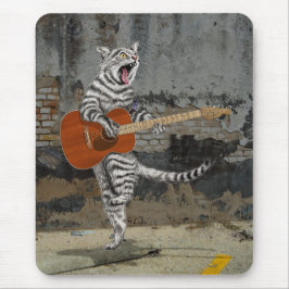 Busker the Guitar Cat Musmatta