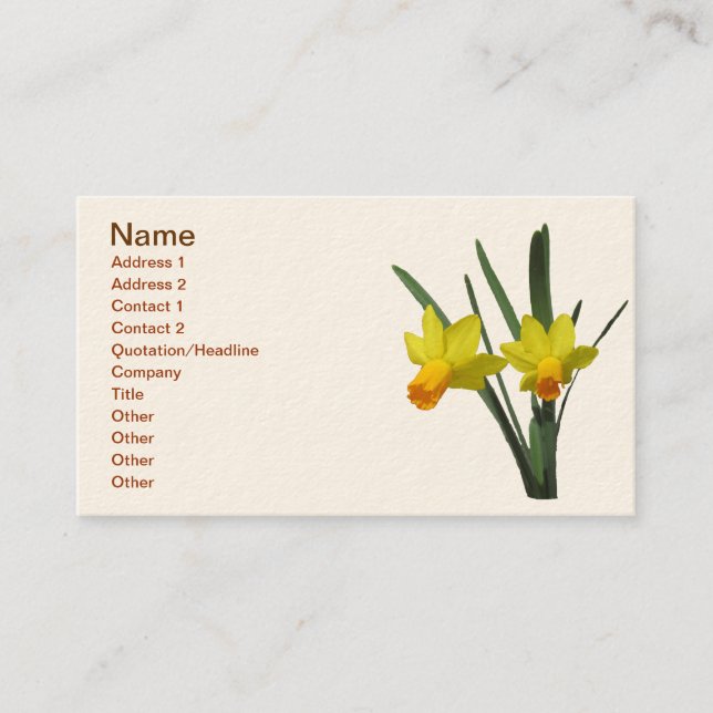 Buss. Kort - Daffodil (Framsida)