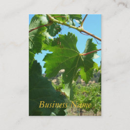 Buss. Kort - Druvvin