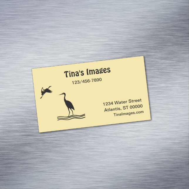 Buss. Kort (mag) - Skalfåglar (In Situ)