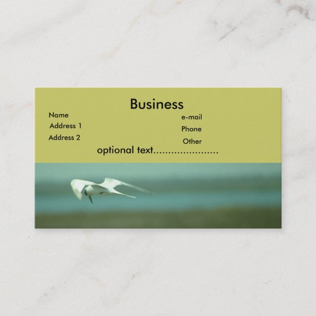 Buss. Kort - Tern (Framsida)