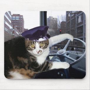Buss som kör katten musmatta