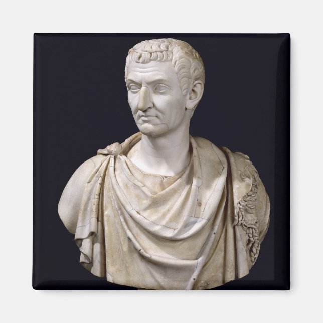 Bust av Marcus Cocceius Nerva Magnet (Framsidan)