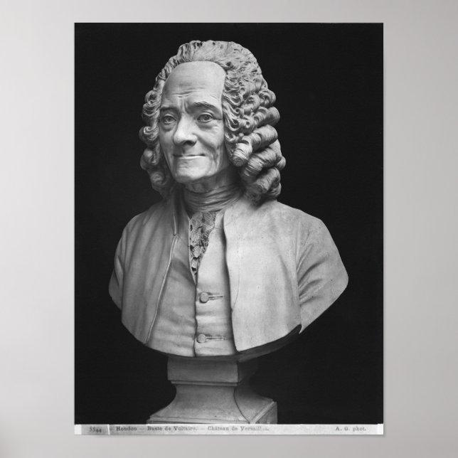 Bust från Voltaire Poster (Framsidan)