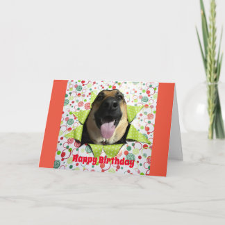 Bust ut tyskt jefherd Birthday-hälsningskort Kort