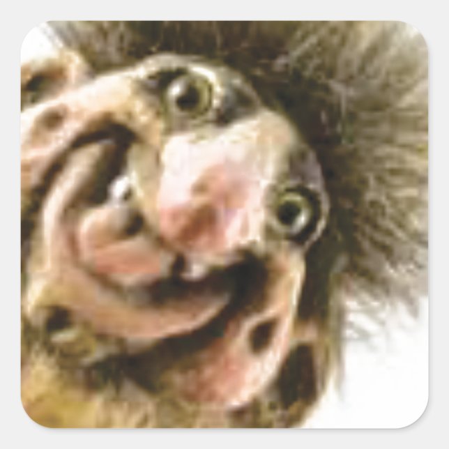 Busta Troll Fyrkantigt Klistermärke (Framsida)