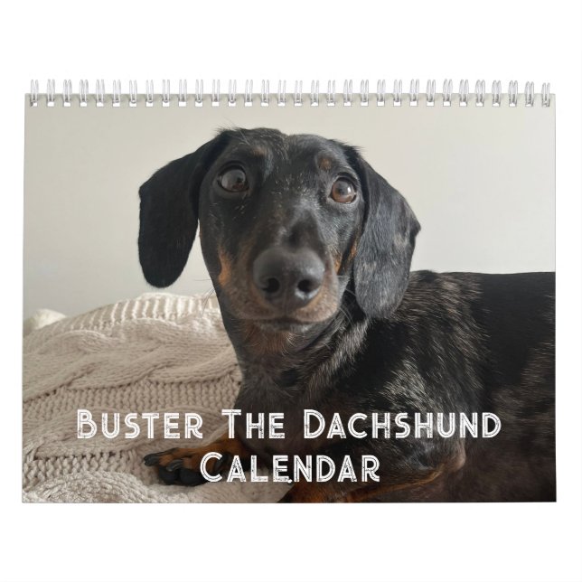 Buster Dachshunden Kalender (Omslag)
