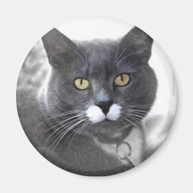 BUSTER MAGNET (Framsidan)