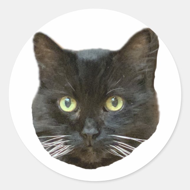 Buster Sticker Runt Klistermärke (Framsida)