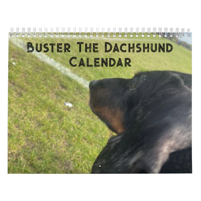 Buster the Dachshund Kalender (Omslag)